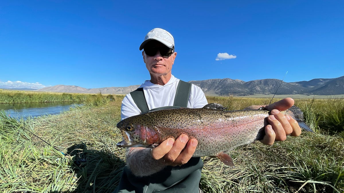 A fisherman holding a large rainbow trout from the Upper Owens River.