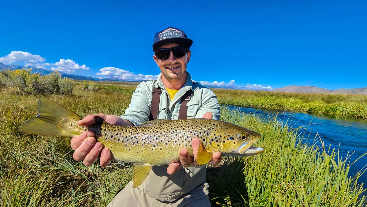 A fisherman holding a large brown trout from the Upper Owens River.