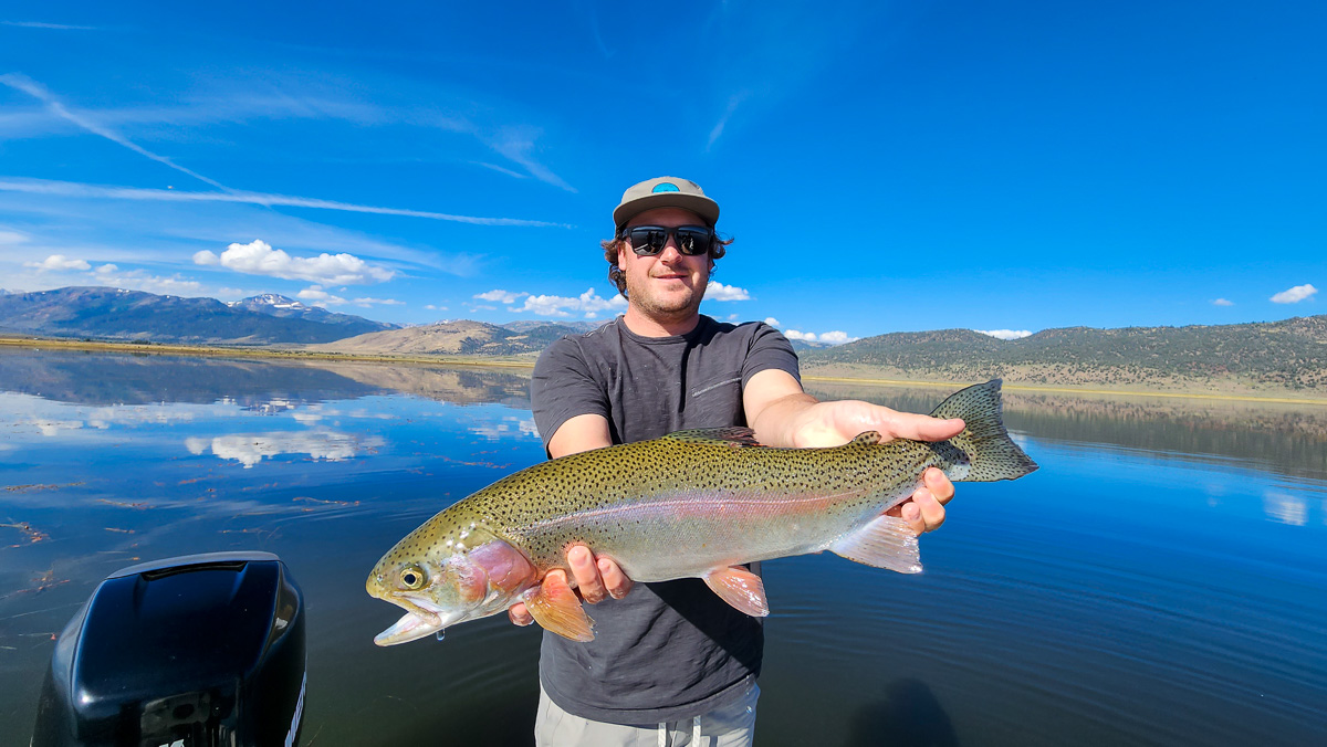 A fisherman holding a huge rainbow trout from Bridgeport Reservoir in a boat.