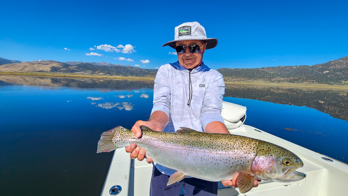 A fisherman holding a large rainbow trout from Bridgeport Reservoir.