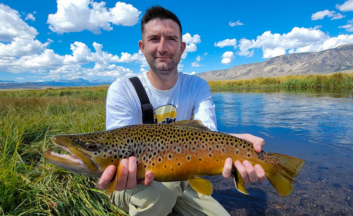 A fisherman holding a large brown trout from the Upper Owens River.