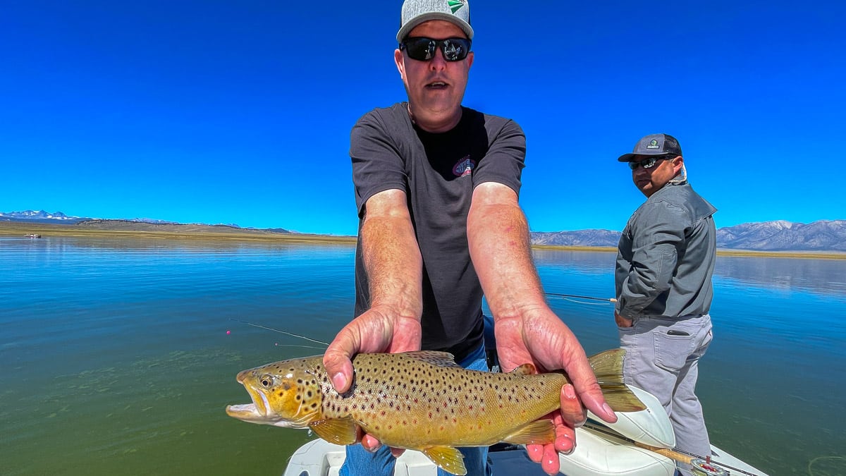 A fisherman holding a large brown trout from Crowley Lake on a boat.