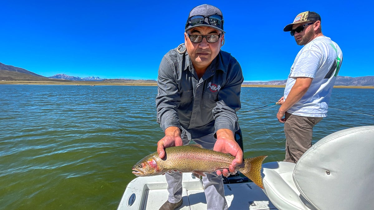 A fisherman holding a large cutthroat trout from Crowley Lake.