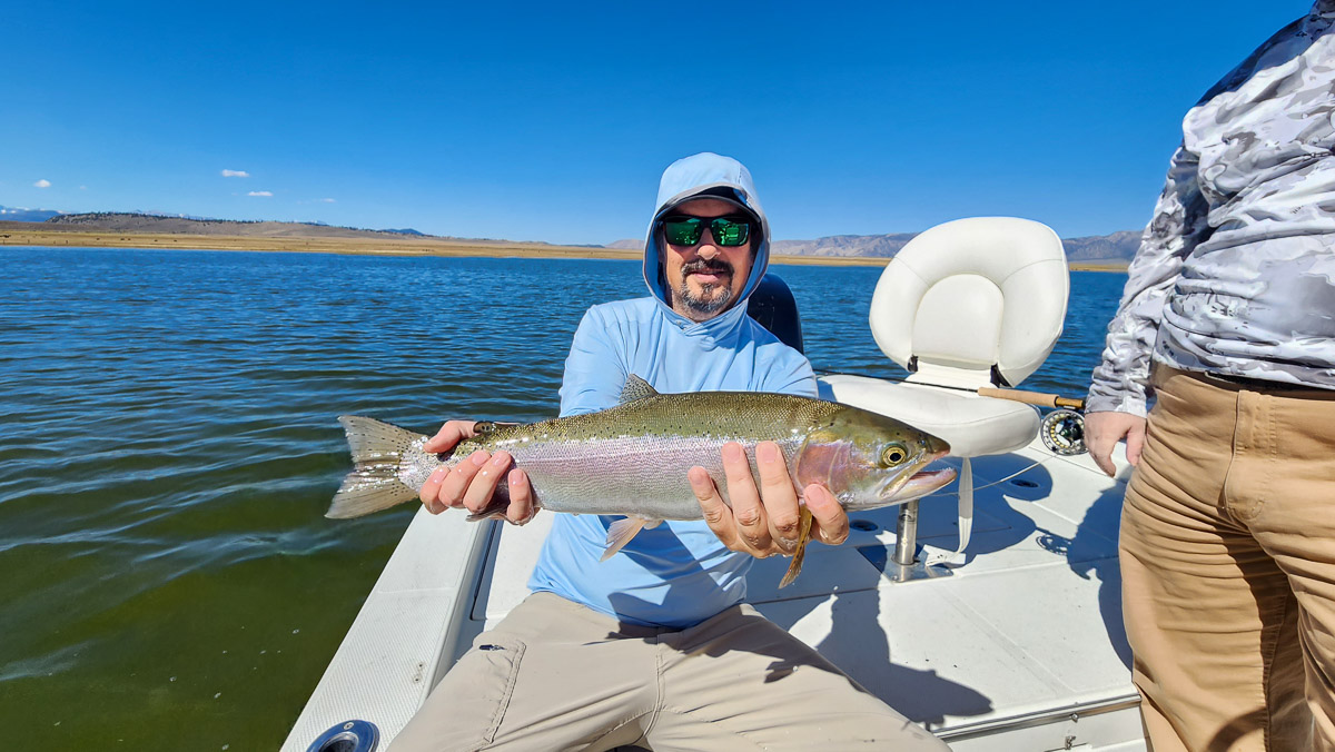 A fisherman holding a large rainbow trout from Crowley Lake.