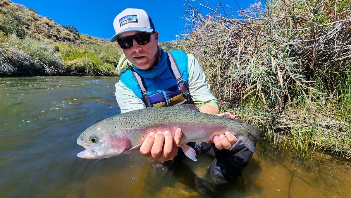 A smiling angler holding a large rainbow trout from a drift boat on the Lower Owens River