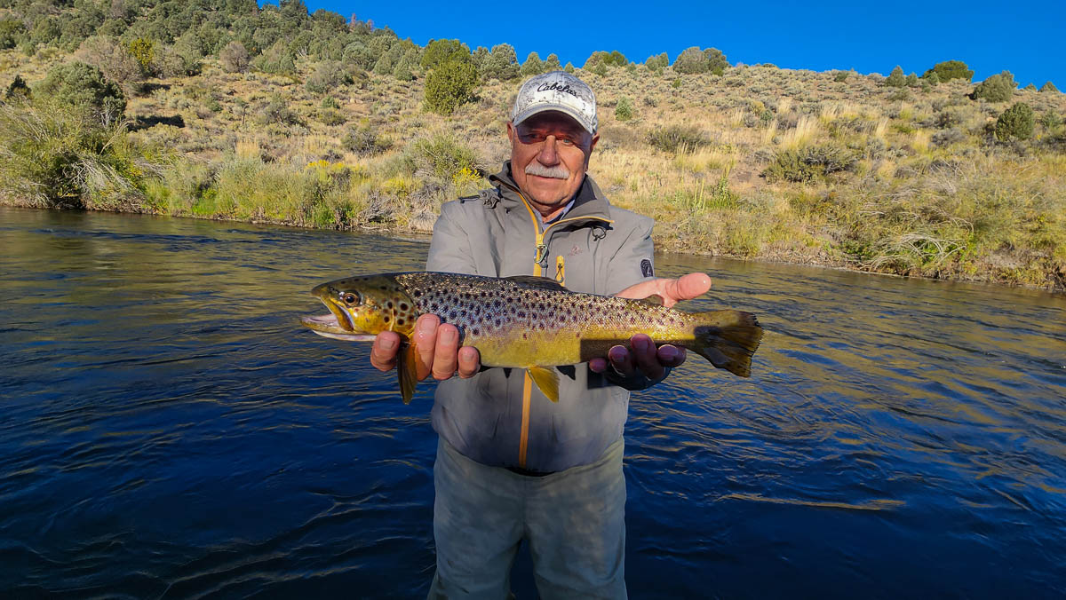 A fisherman holding a large brown trout from East Walker River.
