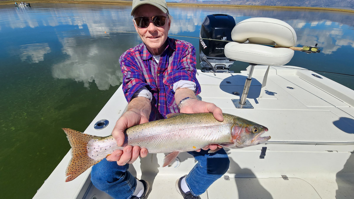 A fisherman holding a large cutthroat trout on Crowley Lake.