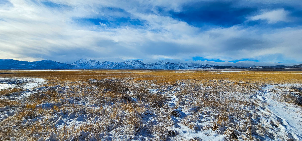 A snow covered sierra nevada field on the Upper Owens River.