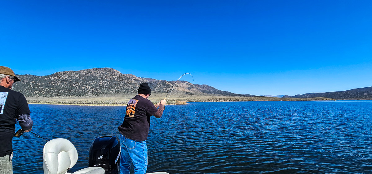 A fly fisherman hooked up to a trout on Bridgeport Reservoir while fishing from a boat.