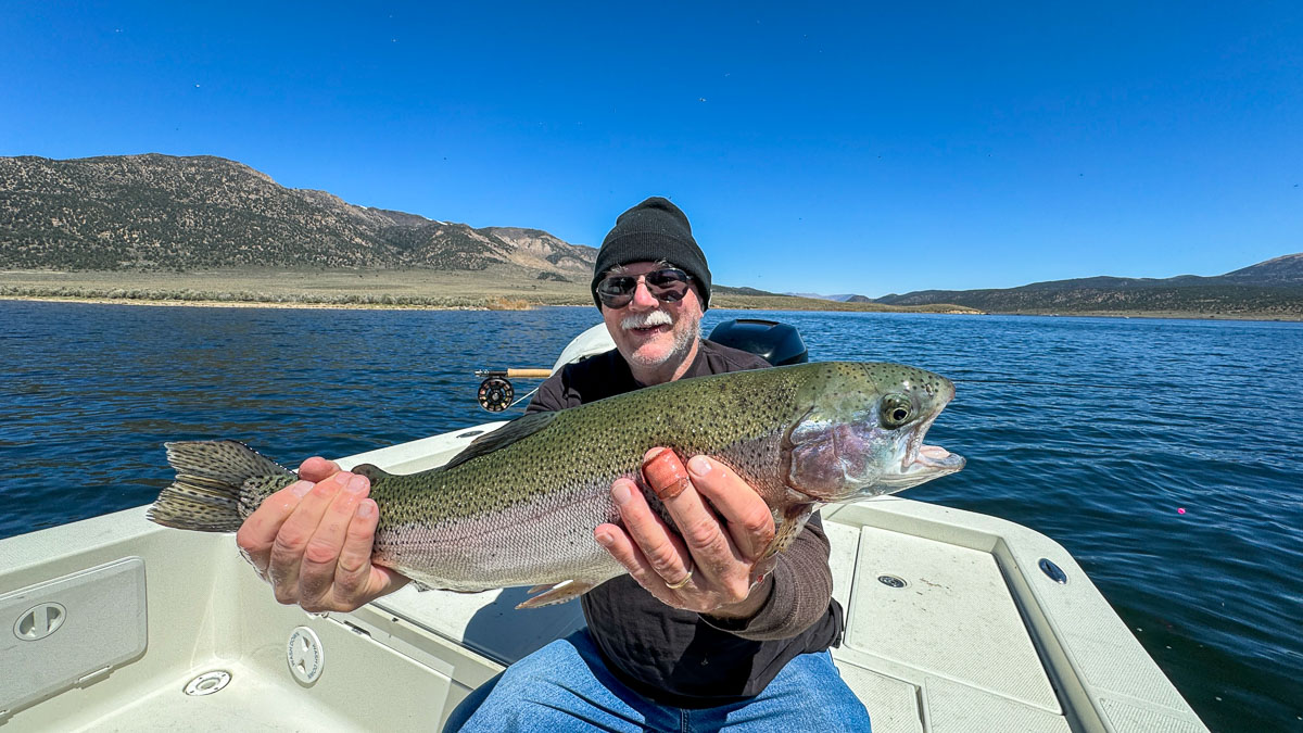 AA smiling fly fisherman holding a giant rainbow trout in a boat on Bridgeport Reservoir.