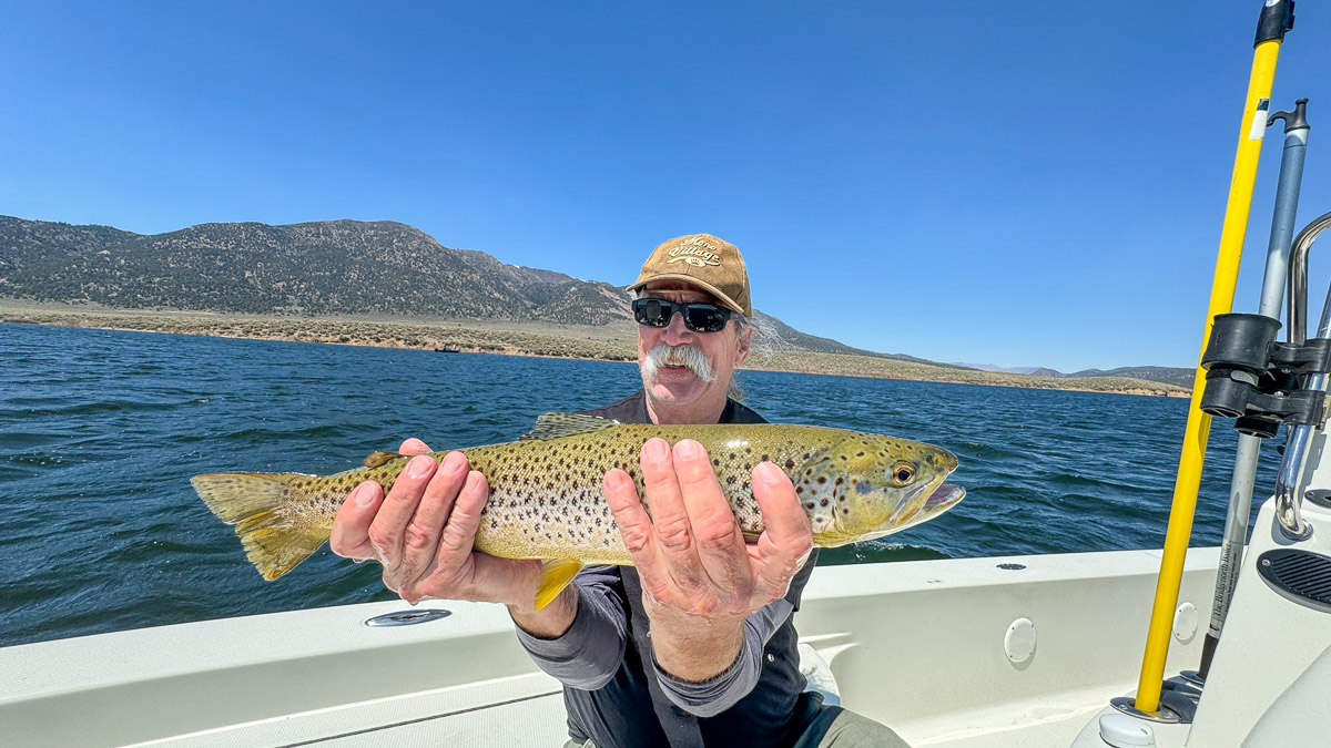 A smiling fly fisherman holding a giant brown trout in a boat on Bridgeport Reservoir.