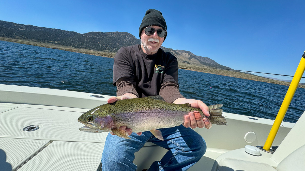 A smiling fly fisherman holding a giant rainbow trout in a boat on Bridgeport Reservoir.