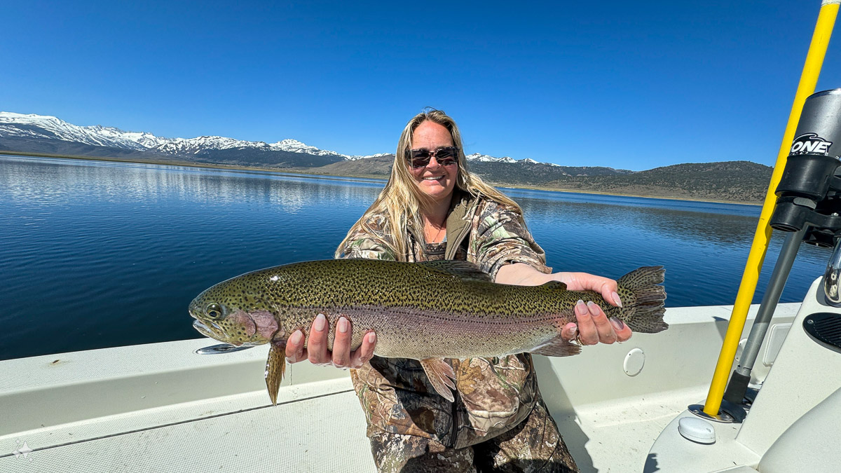 A lady fly fisherwoman wearing camouflage holding a giant rainbow trout in a boat on Bridgeport Reservoir.
