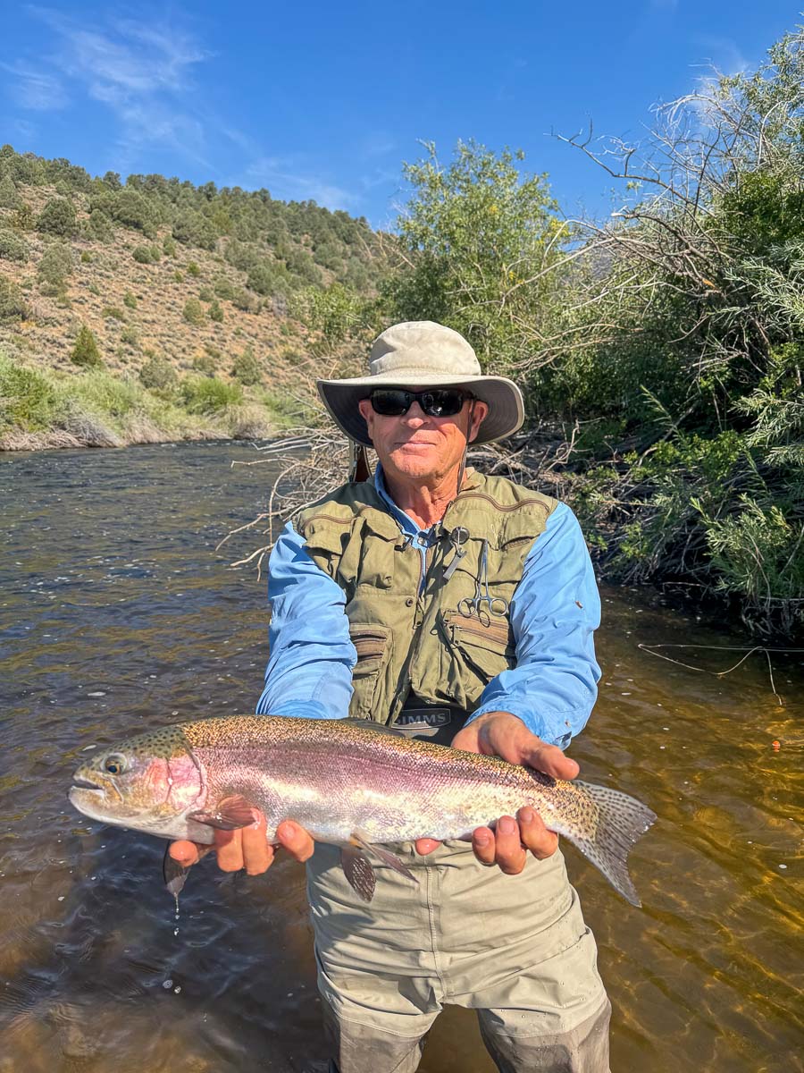 A fly fisherman holding a rainbow trout on the East Walker River in Bridgeport, CA.