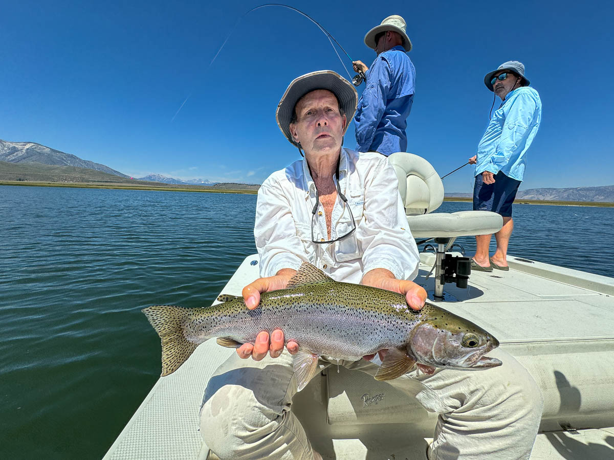 A fly fishermen holding a large rainbow trout in a boat on Crowley Lake in the Eastern Sierra.