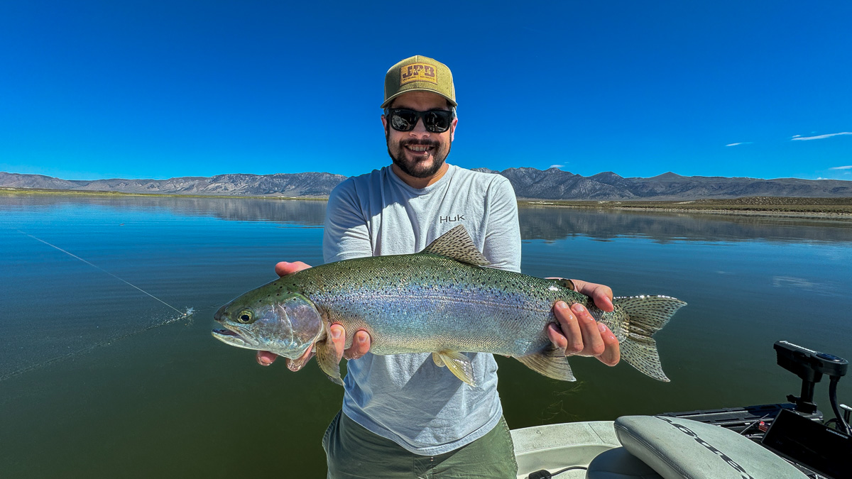 A fly fishermen holding a large rainbow trout in a boat on Crowley Lake in the Eastern Sierra.