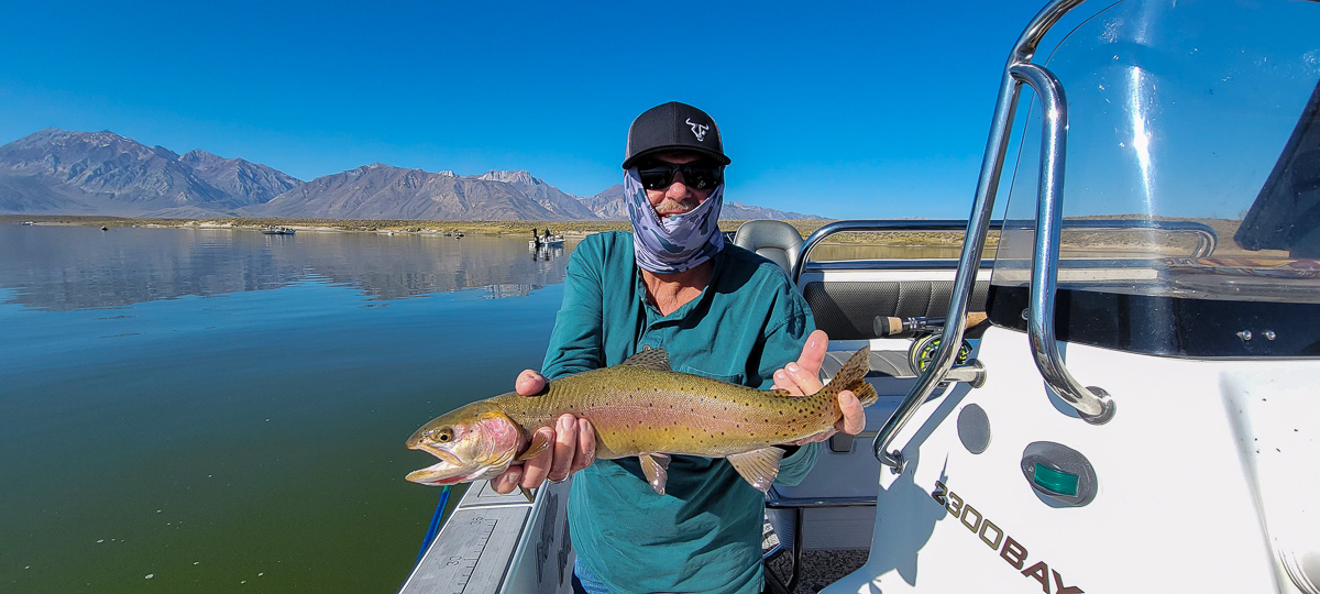 A fly fisherman holding a rainbow trout on the East Walker River in Bridgeport, CA.