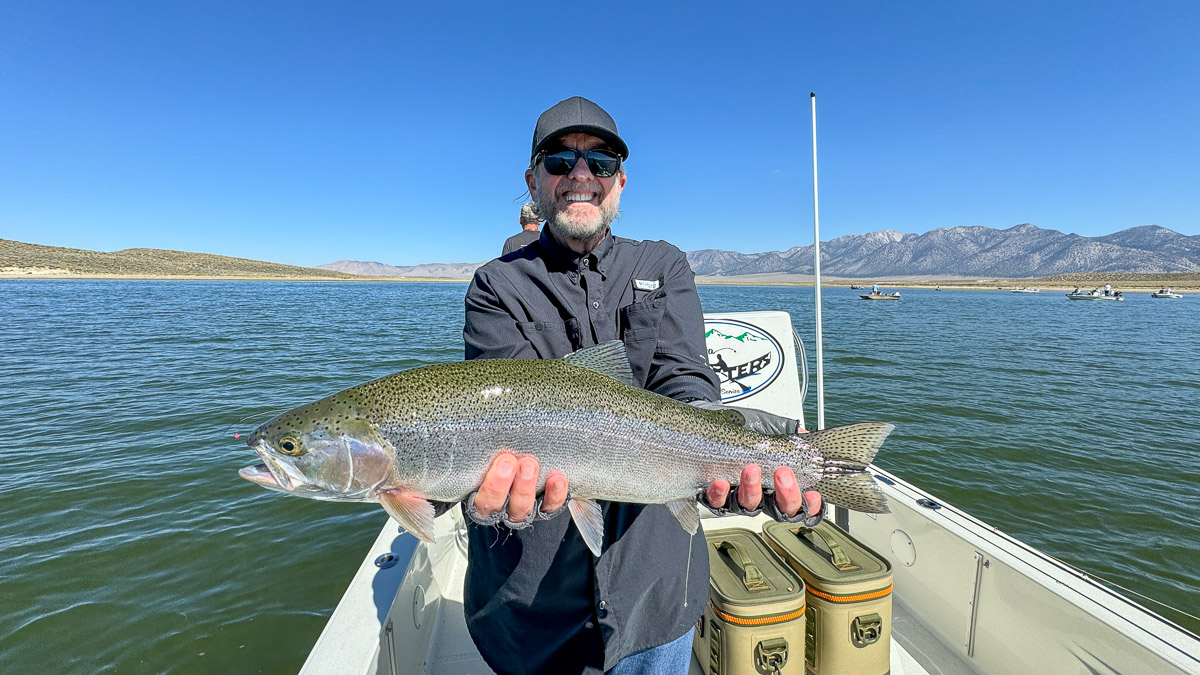 A fly fisherman holding a rainbow trout on the East Walker River in Bridgeport, CA.