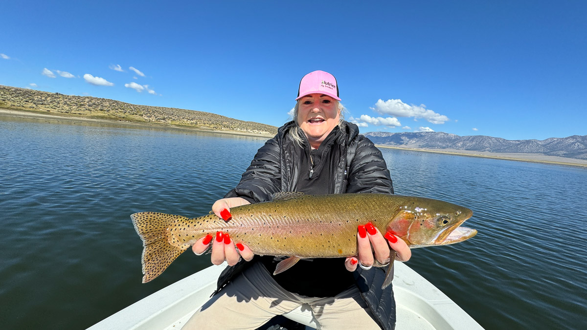 A fly fishermen holding a large rainbow trout in a boat on Crowley Lake in the Eastern Sierra.