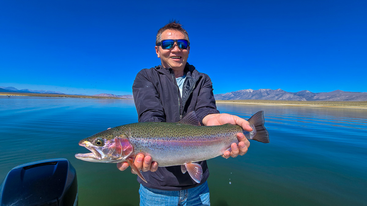 A fly fishermen holding a large rainbow trout in a boat on Crowley Lake in the Eastern Sierra.