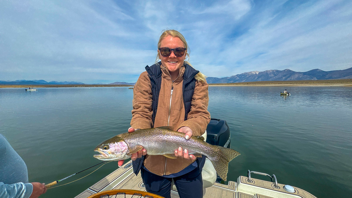 A fly fishermen holding a large rainbow trout in a boat on Crowley Lake in the Eastern Sierra.