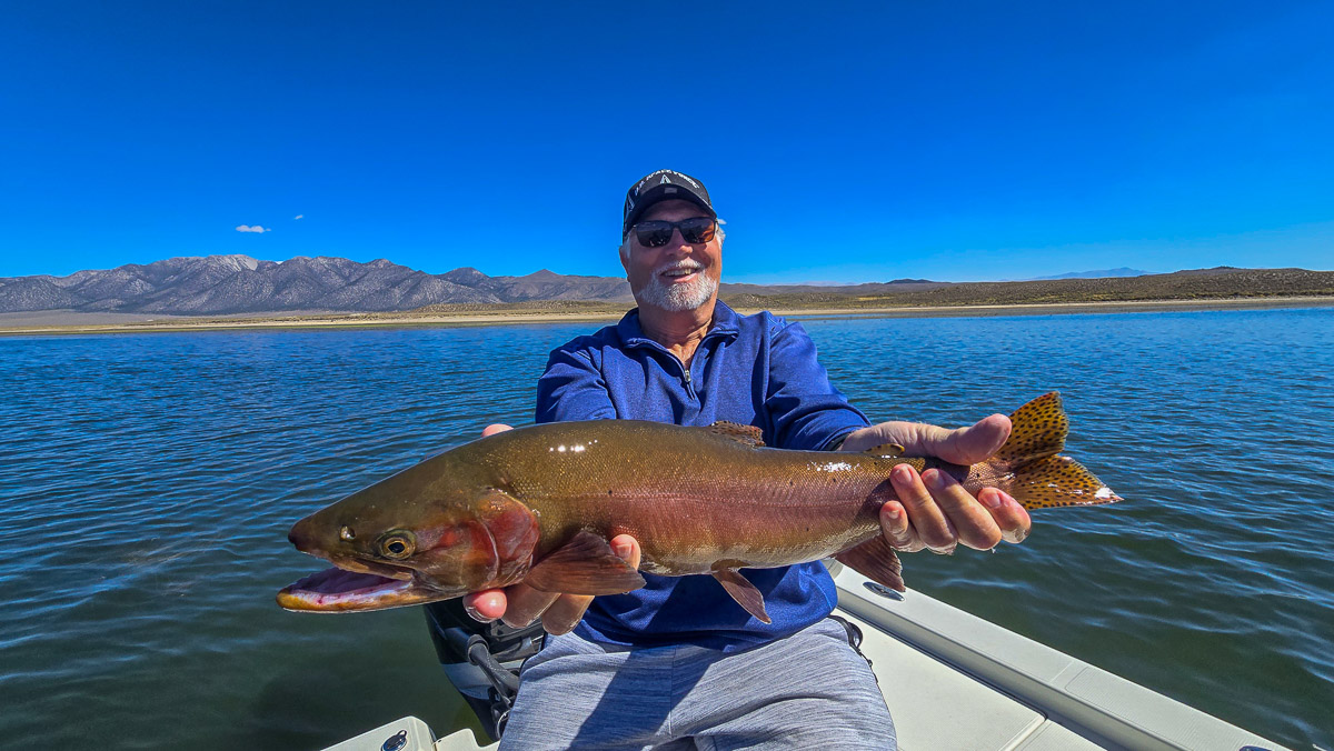 A fly fishermen holding a large cutthroat trout in a boat on Crowley Lake in the Eastern Sierra.