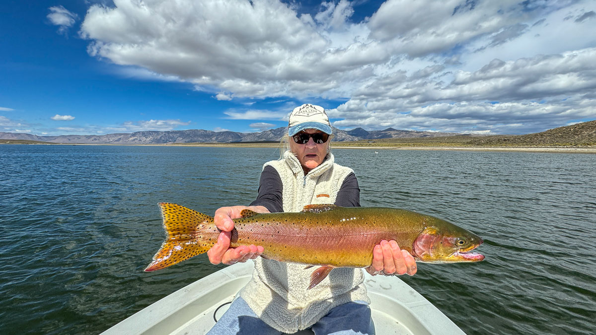 A fly fishermen holding a large rainbow trout in a boat on Crowley Lake in the Eastern Sierra.