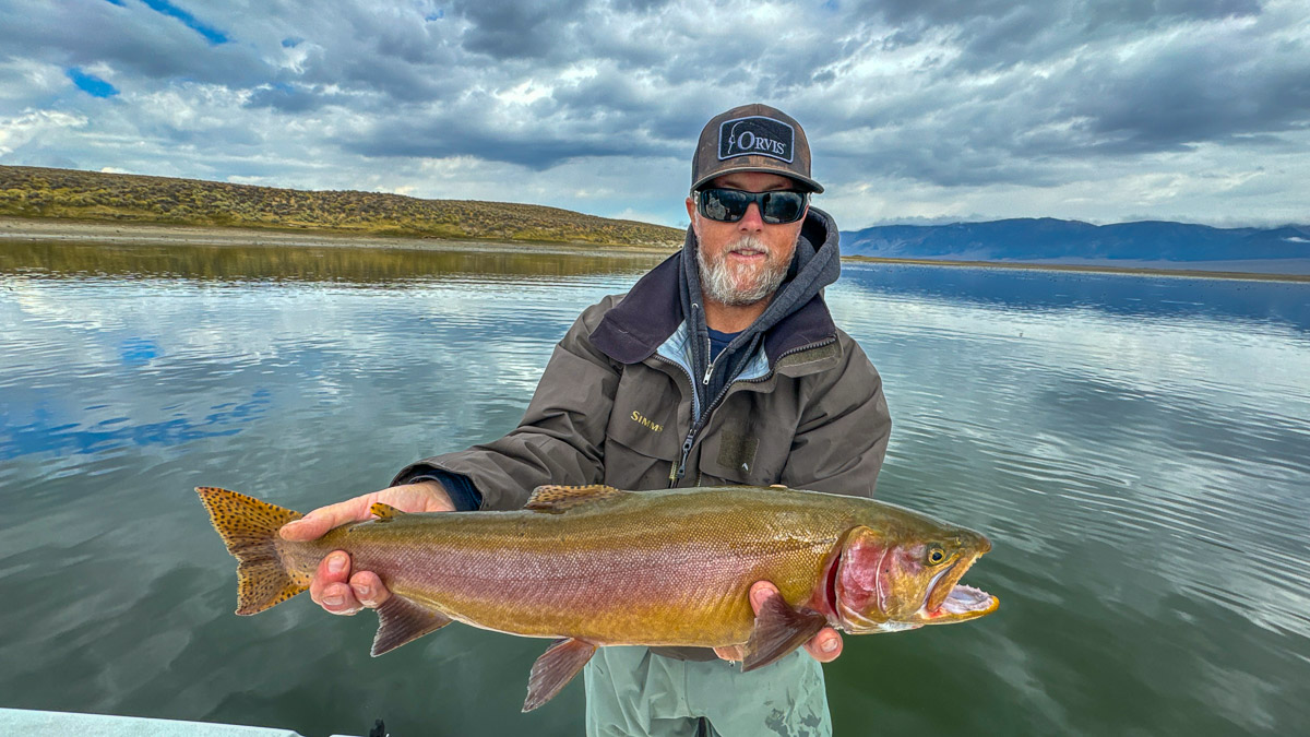 A fly fishermen holding a large rainbow trout in a boat on Crowley Lake in the Eastern Sierra.