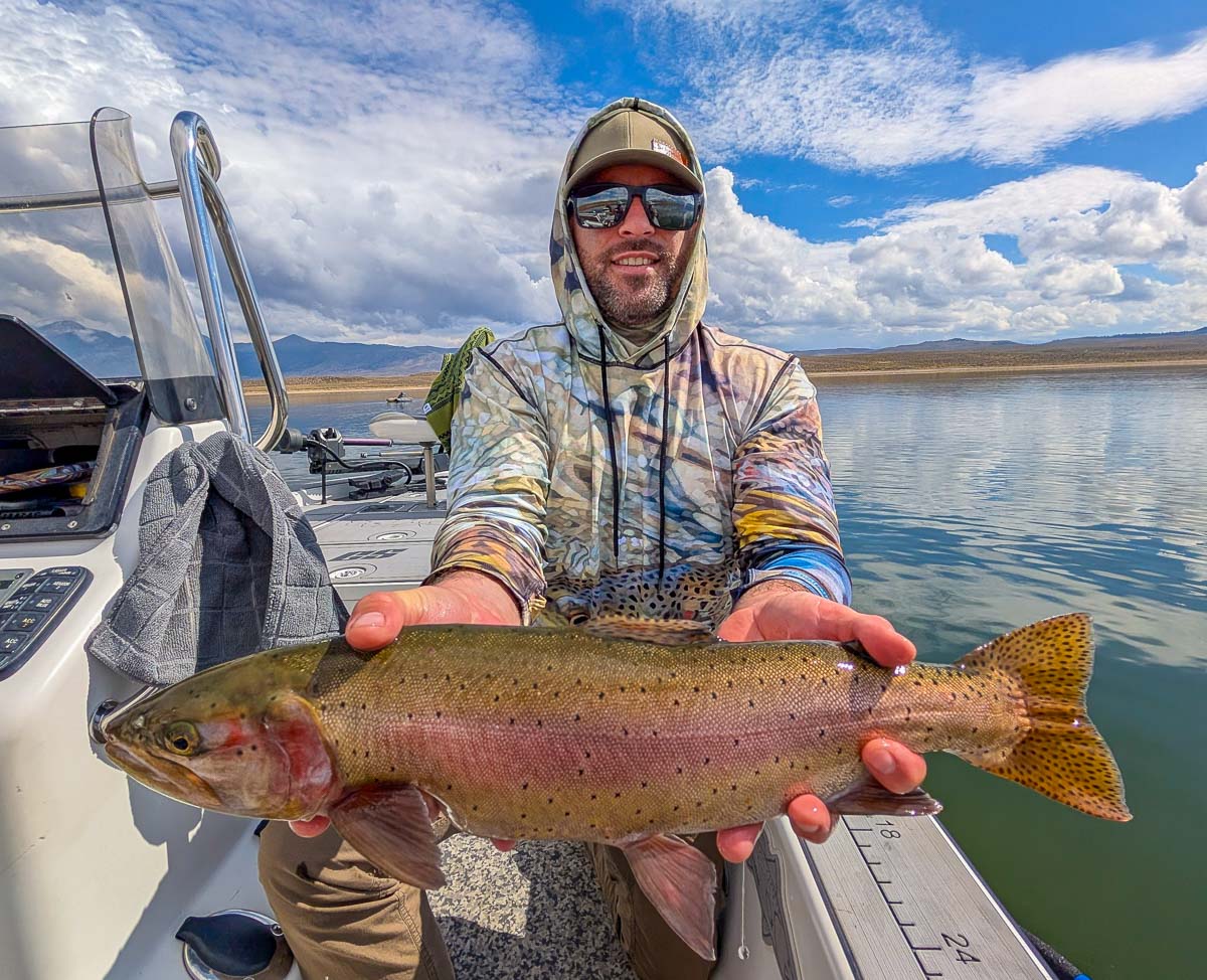 A fly fisherman holding a rainbow trout on the East Walker River in Bridgeport, CA.