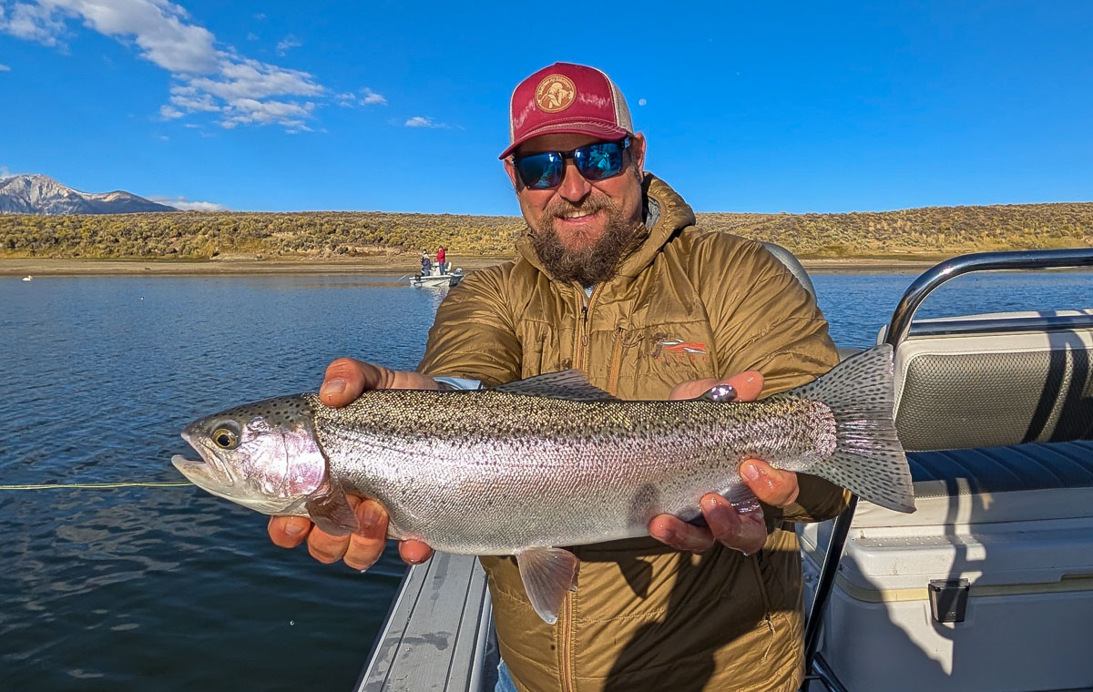 A fly fisherman holding a rainbow trout on the East Walker River in Bridgeport, CA.