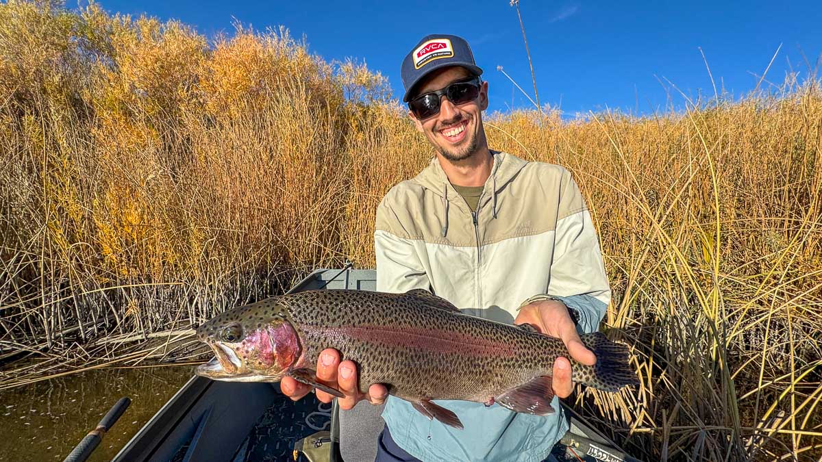 A fly fisherman holding a giant rainbow trout in a drift boat on the Lower Owens River.