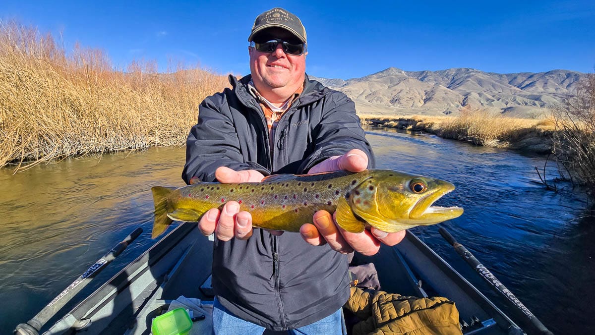 A smiling fly fisherman holding a large brown trout on the Lower Owens River on a drift boat in Bishop, CA