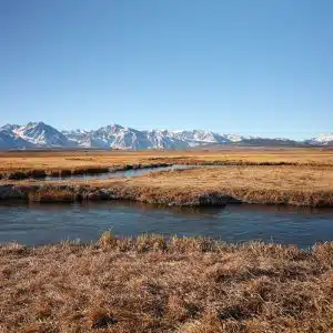 Eastern Sierra Fishing Guide and owner Doug Rodricks netting a trophy rainbow trout that one of his clients has hooked on the Upper Owens River.