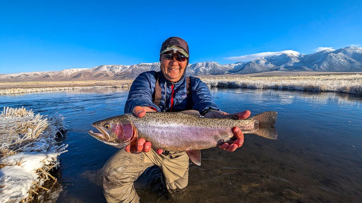 A fly fisherman holding a giant rainbow trout on the Upper Owens River.