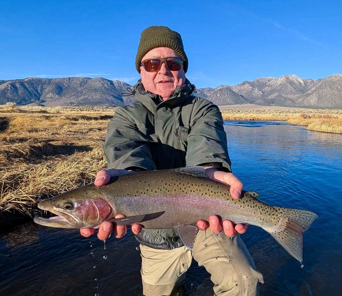 A fly fisherman holding a giant rainbow trout on the Upper Owens River.