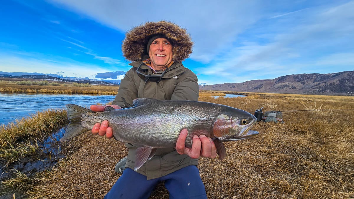 A fly fisherman holding a giant rainbow trout in a drift boat on the Upper Owens River.