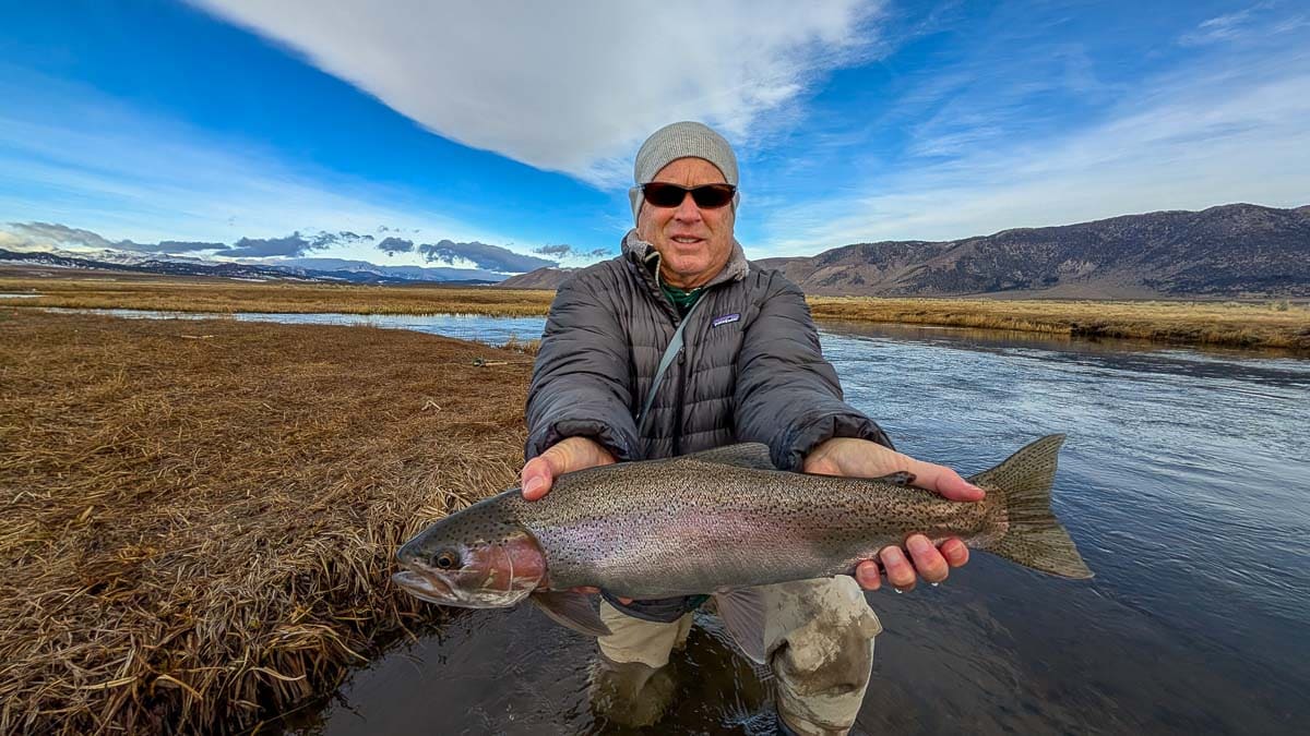 A fly fisherman holding a giant rainbow trout on the Upper Owens River.