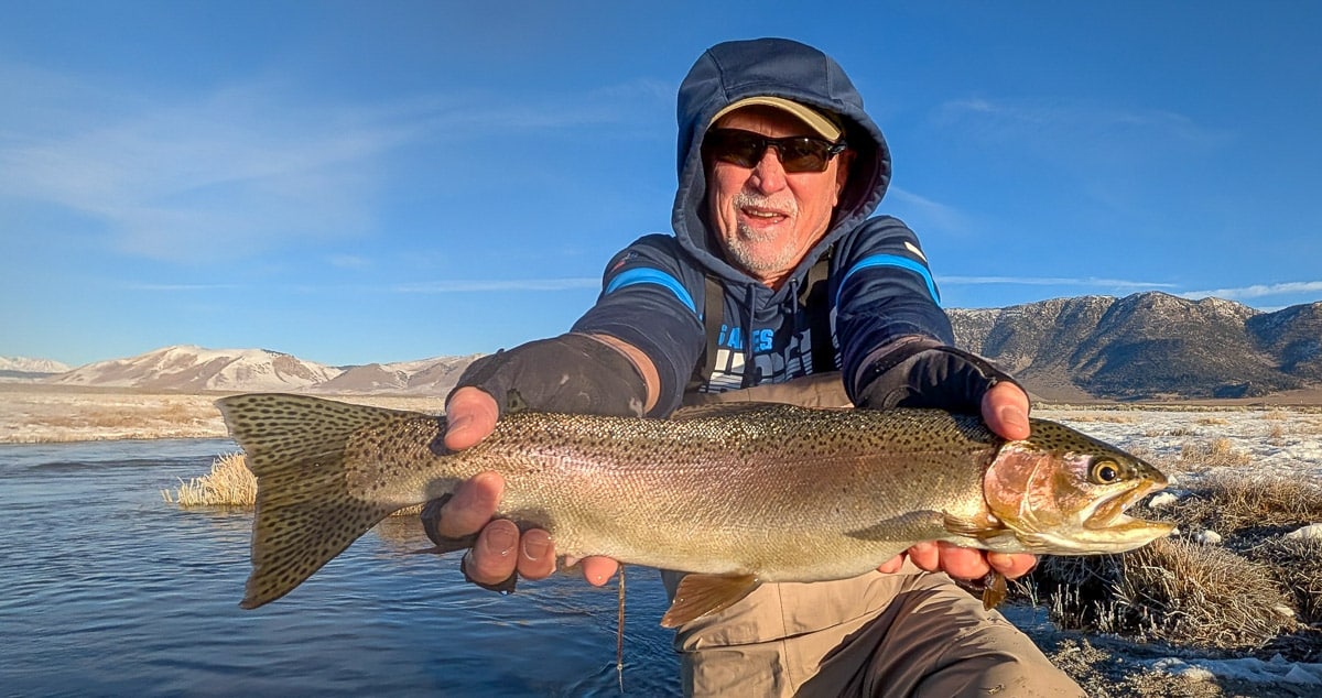 A fly fisherman holding a giant rainbow trout on the Upper Owens River.