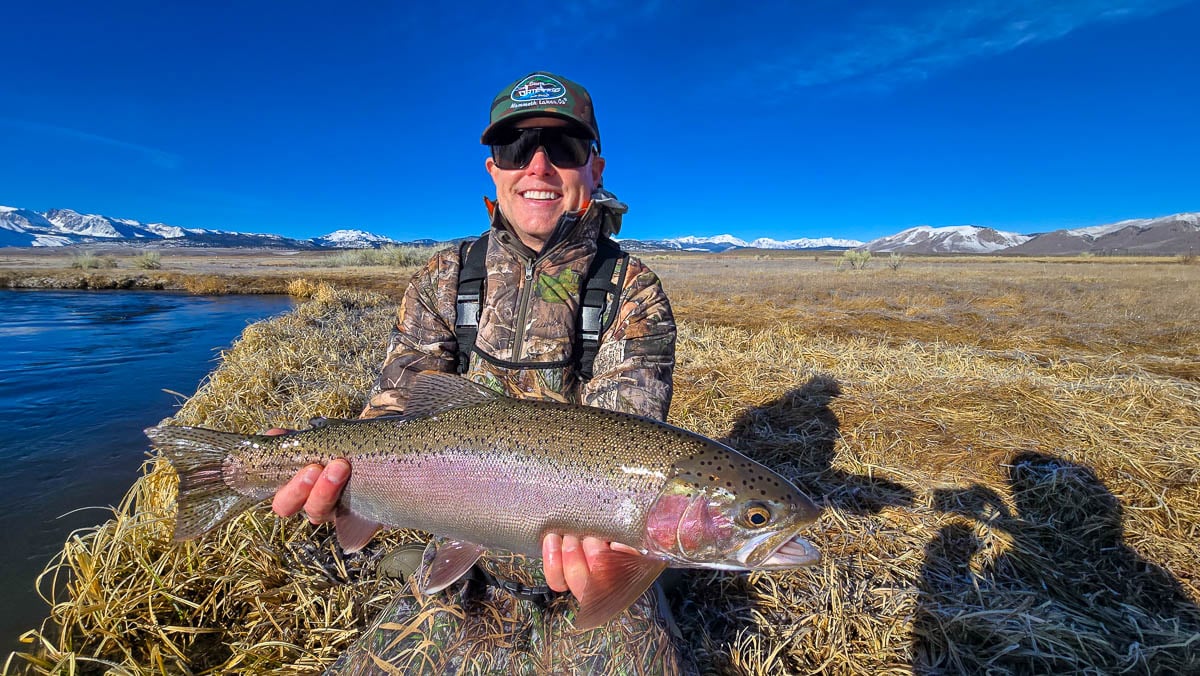 A fly fisherman holding a giant rainbow trout on the Upper Owens River.