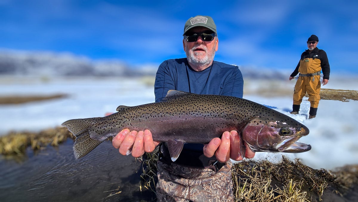 A fly fisherman holding a giant rainbow trout on the Upper Owens River.