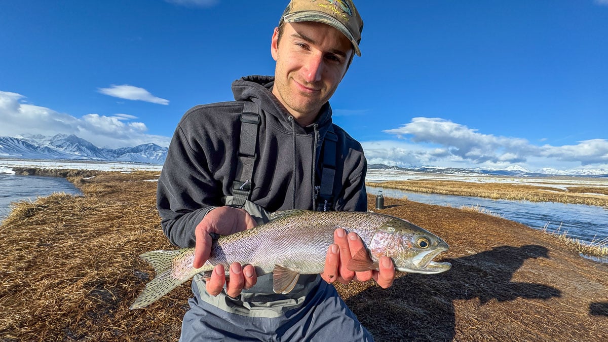 A fly fisherman holding a giant rainbow trout on the Upper Owens River.