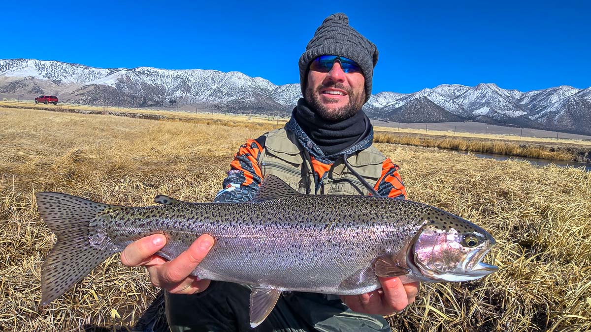 A smiling fly fisherman holding a larger rainbow trout on the Upper Owens River near Mammoth Lakes, CA.