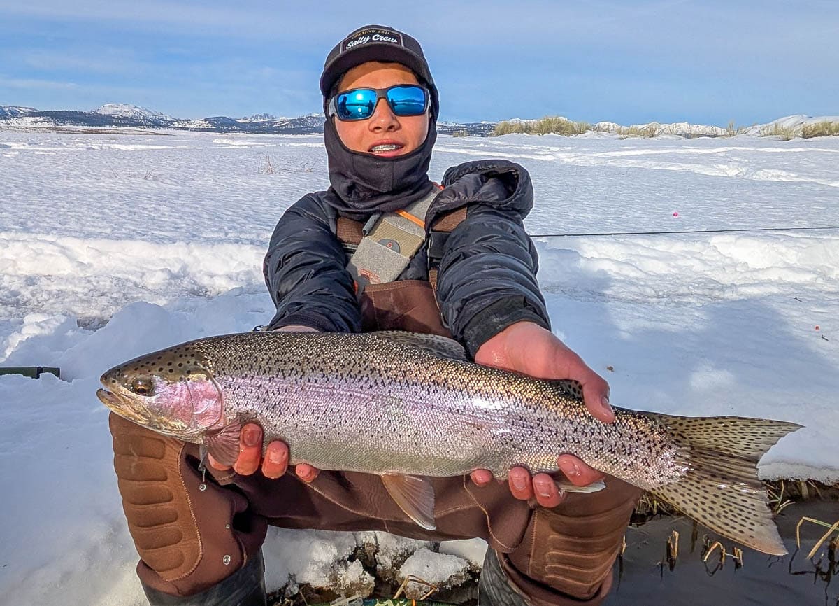 A fly fisherwoman holding a giant rainbow trout on the Upper Owens River.