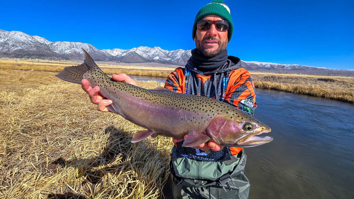 A smiling fly fisherman holding a larger rainbow trout on the Upper Owens River near Mammoth Lakes, CA.