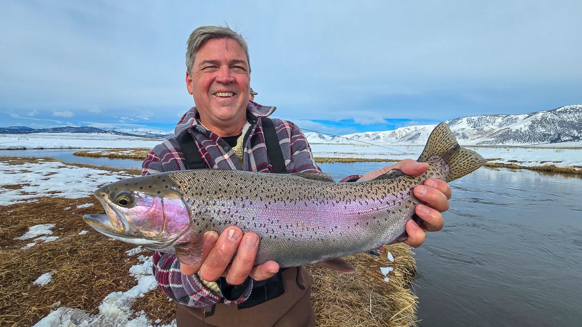 A fly fisherman holding a giant rainbow trout on the Upper Owens River.