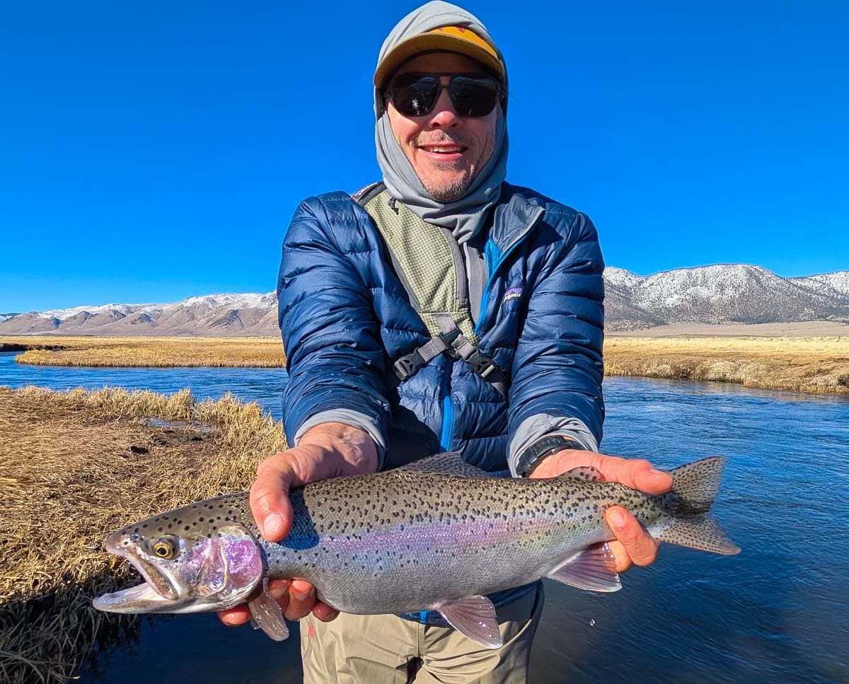 A fly fisherman holding a giant rainbow trout on the Upper Owens River.