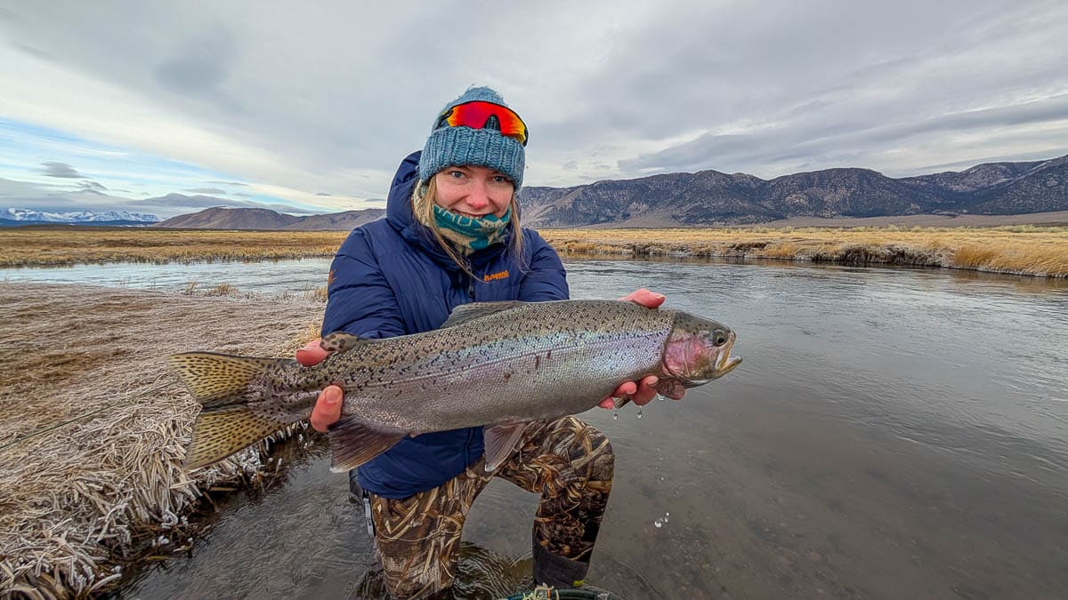 A fly fisherwoman holding a giant rainbow trout on the Upper Owens River.