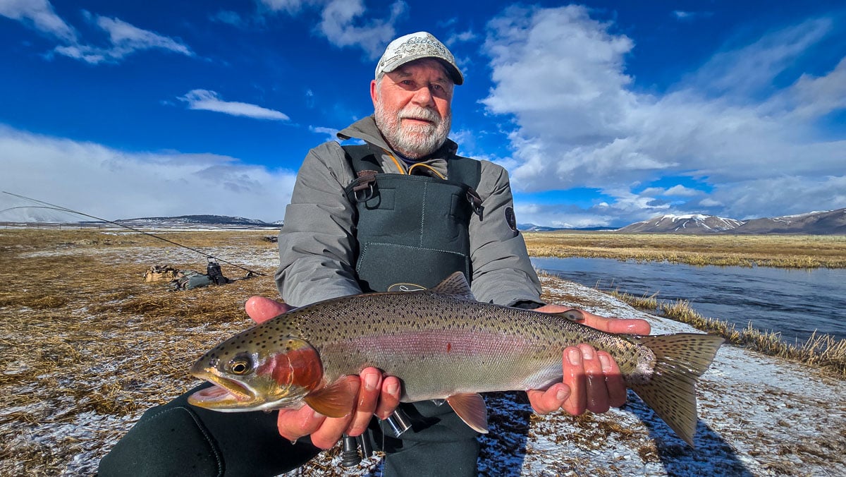 A fly fisherman holding a giant rainbow trout on the Upper Owens River.