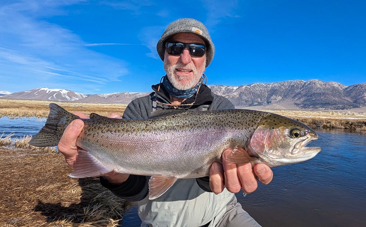 A fly fisherman holding a giant rainbow trout on the Upper Owens River.