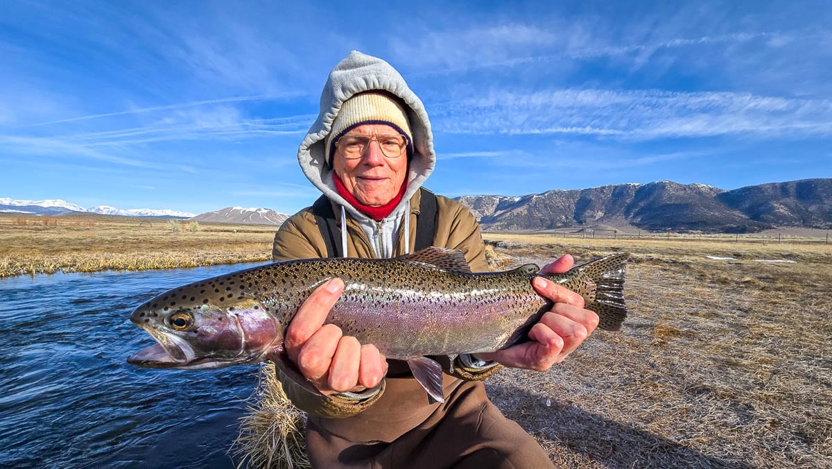 A fly fisherman holding a giant rainbow trout on the Upper Owens River.